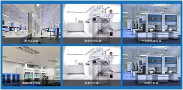 华伊美化妆品OEM 技术与合作双轮驱动的优质选择